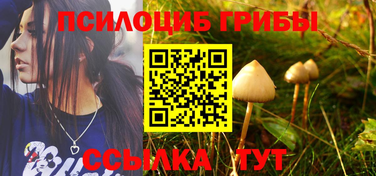 Галлюциногенные грибы MAGIC MUSHROOMS Артёмовский