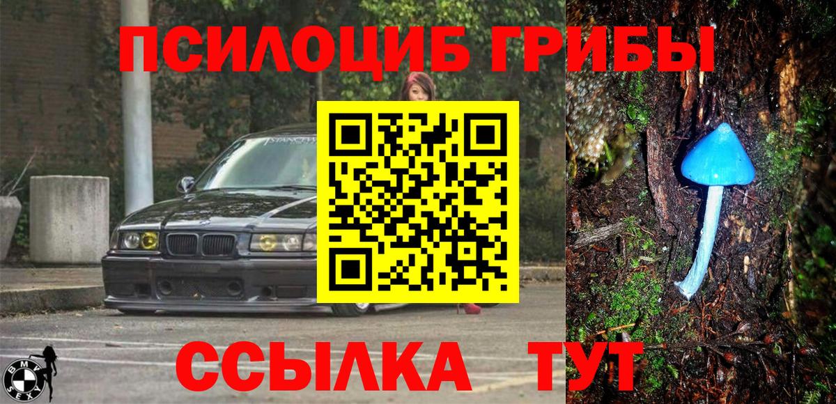 Артёмовский  Галлюциногенные грибы GOLDEN TEACHER  что такое   Вход с VPN 